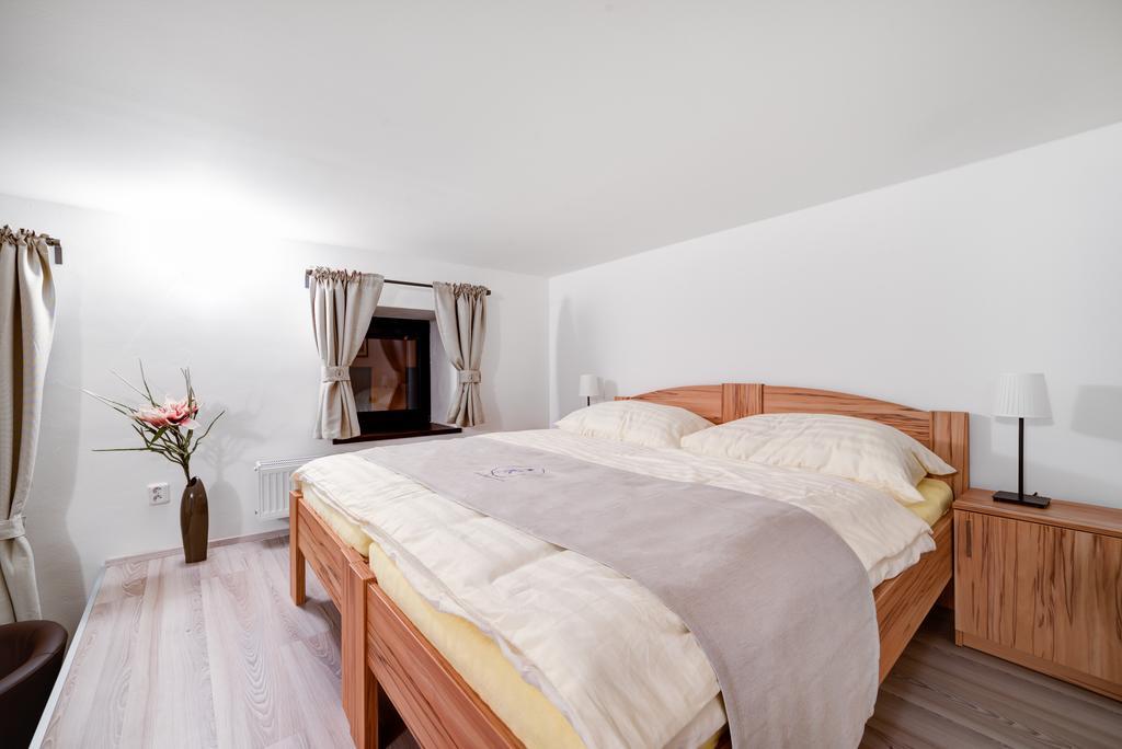 Penzion Kralovska Cesta ブルノ 部屋 写真